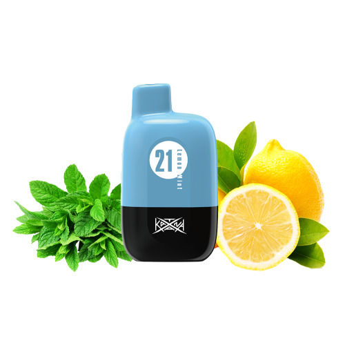 Katana 5000 Lemon mint (Лимон Мята) Одноразовый POD