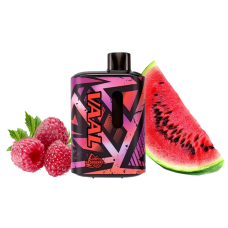 VAAL E5000 Lush raspberry (Арбуз Малина) Одноразовый POD VAAL E5000 Lush raspberry (Арбуз Малина) Одноразовый POD