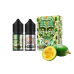 Жидкость In Bottle Salt Puzzle Feijoa 30 мл 50 мг Фейхоа Самозамес