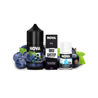 Рідина Chaser Salt Nova Blueberry Currant 30 мл 50 мг Чорниця Смородина Самозаміс