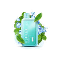Elf Bar Raya D1 13000 Miami Mint (Майами Минт) Одноразовый POD