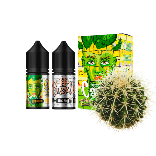 Жидкость In Bottle Salt Puzzle Cactus 30 мл 50 мг Кактус Самозамес