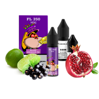 Жидкость Flavorlab Salt FL350 mini Currant pomegranate lime 15 мл 50 мг Смородина Гранат Лайм Самозамес