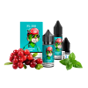 Жидкость Flavorlab Salt FL350 Cranberry mint 30 мл 50 мг Клюква мята Самозамес