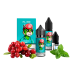 Жидкость Flavorlab Salt FL350 Cranberry mint 30 мл 50 мг Клюква мята Самозамес