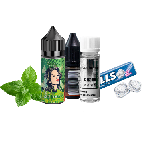 Жидкость Flavorlab Salt Lady Mint Menthol 30 мл 50 мг Мята Ментол Самозамес