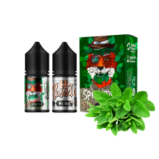 Жидкость In Bottle Salt Spearmint 30 мл 50 мг Мята Самозамес