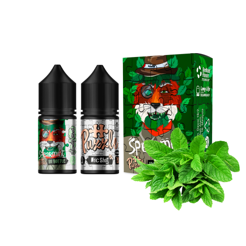 Жидкость In Bottle Salt Spearmint 30 мл 50 мг Мята Самозамес