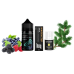 Жидкость Chaser Salt Special Berry Needles 30 мл 50 мг Ягоды Хвоя Самозамес