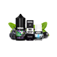 Жидкость Chaser Salt Nova BerryMint 30 мл 65 мг Ягоды Мята Самозамес