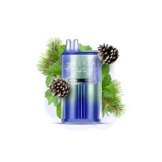 Elf Bar BC20000 Forest Mint (Лесная Мята) Одноразовый POD Elf Bar BC20000 Forest Mint (Лесная Мята) Одноразовый POD