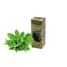Рідина Creepy Salt Double Mint 30 мл 50 мг Подвійна М'ята Рідина Creepy Salt Double Mint 30 мл 50 мг Подвійна М'ята