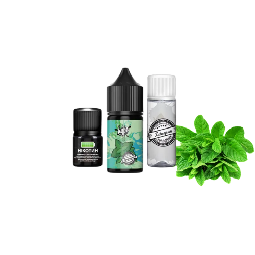 Рідина Hype Salt Kit Mint 30 мл 50 мг М'ята Самозаміс